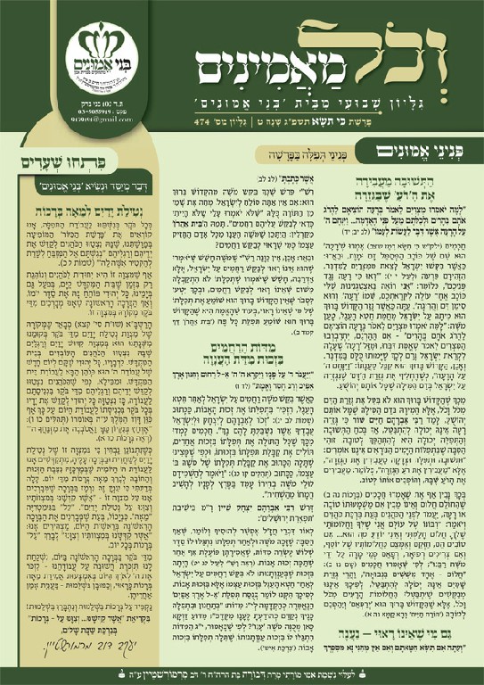 עלון מנוקד כי תשא תשפג